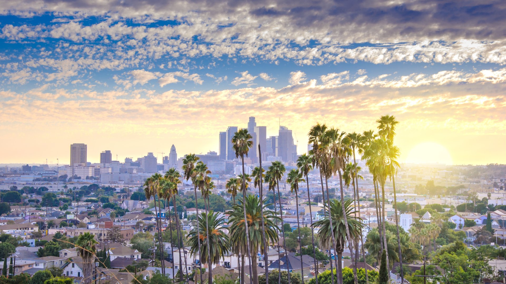 Los Angeles skyline with palm trees at sunset